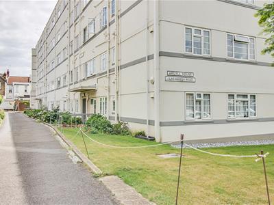 Picture 21